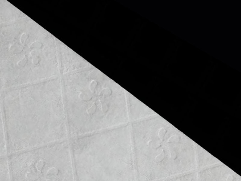 Wiskoza/pulpowa tkanina spłukiwana na papier toaletowy